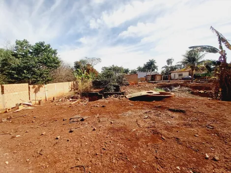 Alugar Casa / Chácara - Rancho em Sertãozinho R$ 3.500,00 - Foto 56