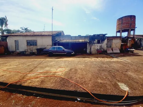 Alugar Casa / Chácara - Rancho em Sertãozinho R$ 3.500,00 - Foto 60