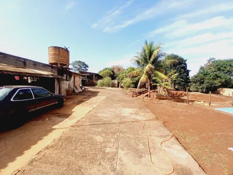 Alugar Casa / Chácara - Rancho em Sertãozinho R$ 3.500,00 - Foto 62