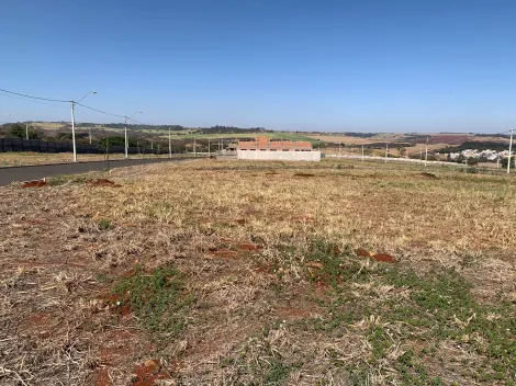 Comprar Terreno / Condomínio em Ribeirão Preto R$ 300.000,00 - Foto 5