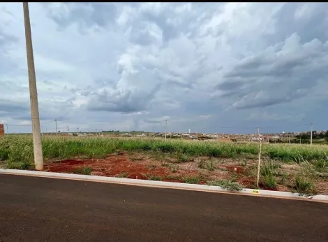 Terreno / Padrão em Cravinhos Alugar por R$0,00