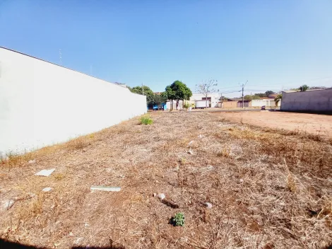 Comprar Terreno / Padrão em Ribeirão Preto R$ 191.000,00 - Foto 3