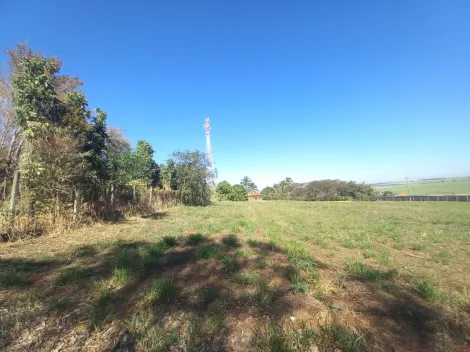 Terreno / Padrão em Ribeirão Preto 