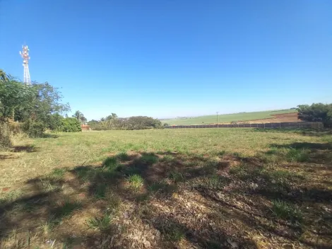 Alugar Terreno / Padrão em Ribeirão Preto R$ 2.500,00 - Foto 2