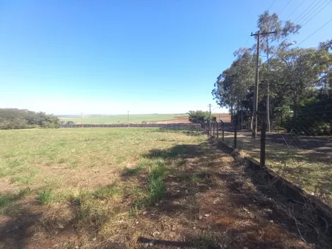 Alugar Terreno / Padrão em Ribeirão Preto R$ 2.500,00 - Foto 3