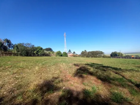 Alugar Terreno / Padrão em Ribeirão Preto R$ 2.500,00 - Foto 4