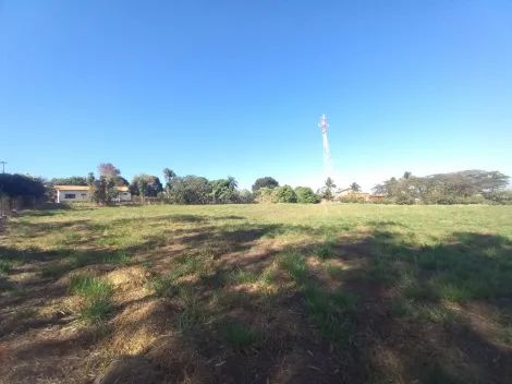 Alugar Terreno / Padrão em Ribeirão Preto R$ 2.500,00 - Foto 5