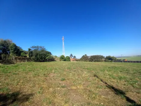 Alugar Terreno / Padrão em Ribeirão Preto R$ 2.500,00 - Foto 7