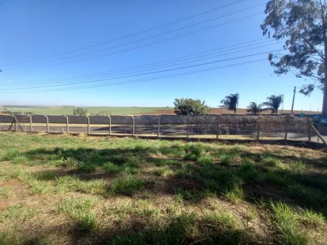 Alugar Terreno / Padrão em Ribeirão Preto R$ 2.500,00 - Foto 8