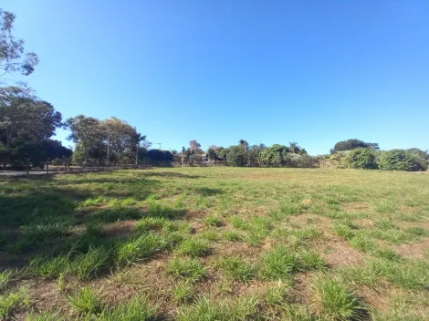 Alugar Terreno / Padrão em Ribeirão Preto R$ 2.500,00 - Foto 9