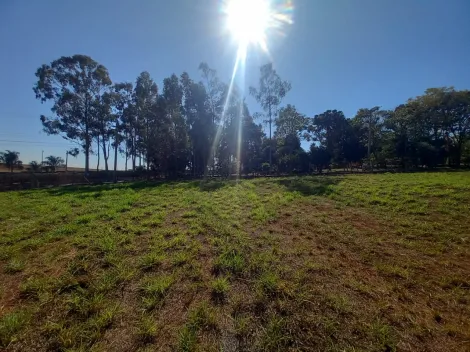 Alugar Terreno / Padrão em Ribeirão Preto R$ 2.500,00 - Foto 10