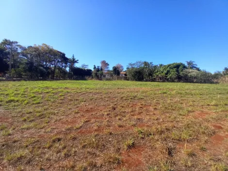 Alugar Terreno / Padrão em Ribeirão Preto R$ 2.500,00 - Foto 11