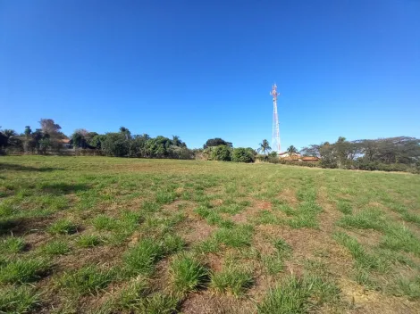 Alugar Terreno / Padrão em Ribeirão Preto R$ 2.500,00 - Foto 12