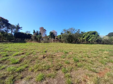 Alugar Terreno / Padrão em Ribeirão Preto R$ 2.500,00 - Foto 15