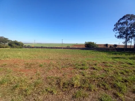 Alugar Terreno / Padrão em Ribeirão Preto R$ 2.500,00 - Foto 17