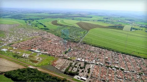 Terreno / Padrão em Cravinhos Alugar por R$0,00