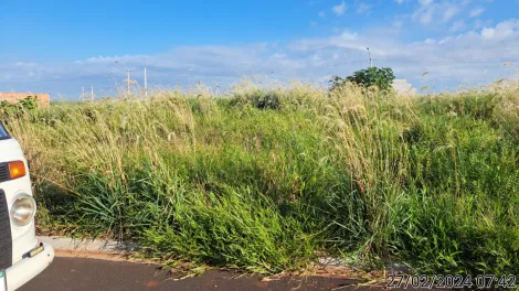 Comprar Terreno / Padrão em Cravinhos R$ 120.000,00 - Foto 7