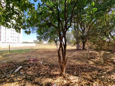 Comprar Terreno / Padrão em Ribeirão Preto R$ 1.305.000,00 - Foto 2