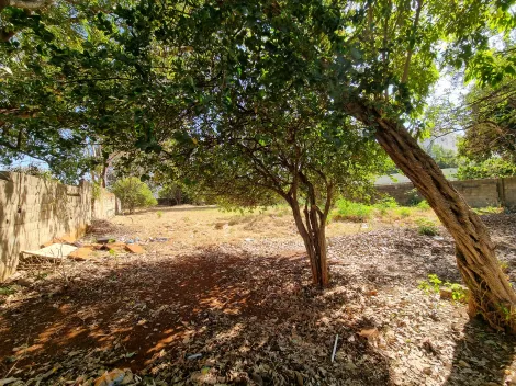 Comprar Terreno / Padrão em Ribeirão Preto R$ 1.305.000,00 - Foto 6