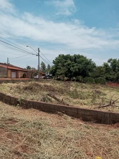 Terreno / Padrão em Ribeirão Preto 