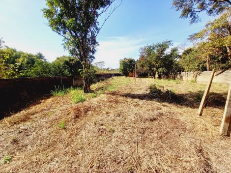 Alugar Casa condomínio / Chácara - Rancho em Ribeirão Preto R$ 5.000,00 - Foto 22