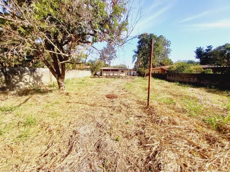 Alugar Casa condomínio / Chácara - Rancho em Ribeirão Preto R$ 5.000,00 - Foto 23