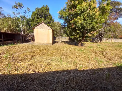 Alugar Casa condomínio / Chácara - Rancho em Ribeirão Preto R$ 5.000,00 - Foto 26