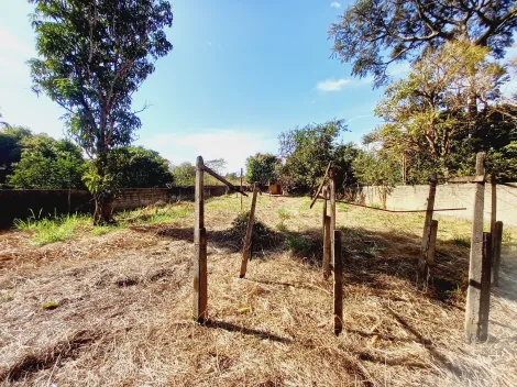 Alugar Casa condomínio / Chácara - Rancho em Ribeirão Preto R$ 5.000,00 - Foto 31