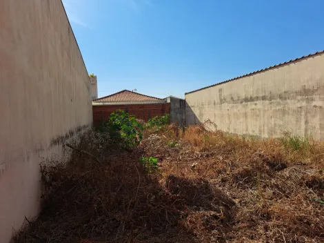 Terreno / Padrão em Ribeirão Preto 