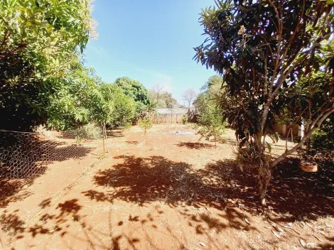 Alugar Casa / Chácara - Rancho em Ribeirão Preto R$ 6.500,00 - Foto 91