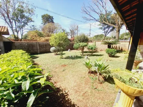 Alugar Casa / Chácara - Rancho em Ribeirão Preto R$ 6.500,00 - Foto 101