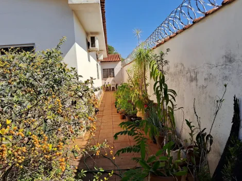 Comprar Casa / Padrão em Santa Cruz da Esperança R$ 450.000,00 - Foto 25