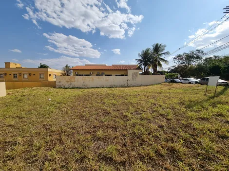 Comprar Terreno / Comercial em Ribeirão Preto R$ 489.000,00 - Foto 8