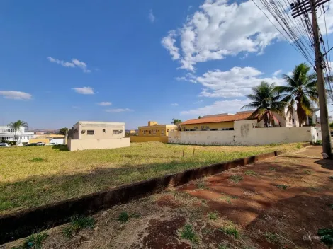 Terreno / Comercial em Ribeirão Preto Alugar por R$0,00