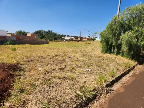 Terreno / Padrão em Brodowski Alugar por R$0,00