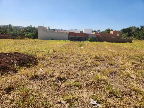 Comprar Terreno / Padrão em Brodowski R$ 96.000,00 - Foto 3