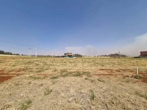 Comprar Terreno / Condomínio em Ribeirão Preto R$ 355.000,00 - Foto 2