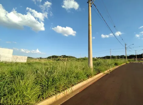 Comprar Terreno / Condomínio em Ribeirão Preto R$ 320.000,00 - Foto 3