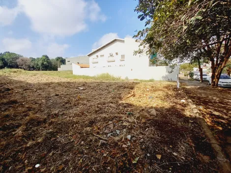 Comprar Terreno / Padrão em Ribeirão Preto R$ 500.000,00 - Foto 5