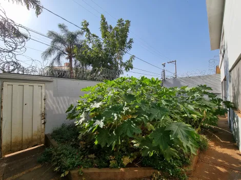 Comprar Comercial padrão / Casa comercial em Ribeirão Preto R$ 800.000,00 - Foto 52