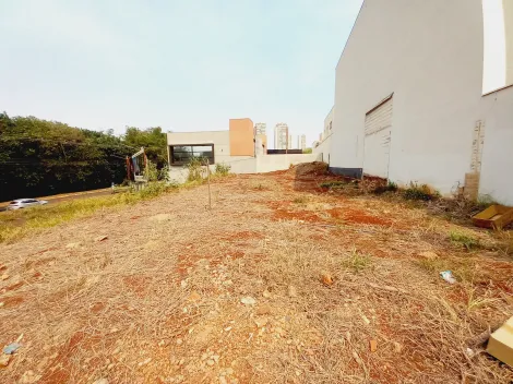 Alugar Terreno / Padrão em Ribeirão Preto R$ 3.100,00 - Foto 6