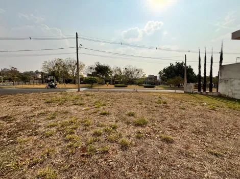 Comprar Terreno / Condomínio em Ribeirão Preto R$ 500.000,00 - Foto 3