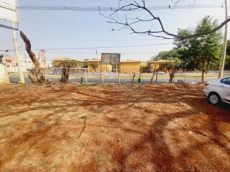 Alugar Terreno / Padrão em Ribeirão Preto R$ 7.000,00 - Foto 5