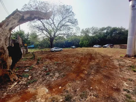 Alugar Terreno / Padrão em Ribeirão Preto R$ 7.000,00 - Foto 6