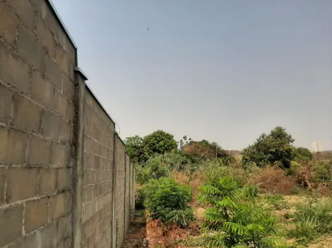 Terreno / Padrão em Ribeirão Preto 