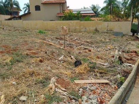 Comprar Terreno / Padrão em Ribeirão Preto R$ 380.000,00 - Foto 6