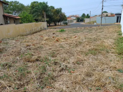 Comprar Terreno / Padrão em Ribeirão Preto R$ 380.000,00 - Foto 7