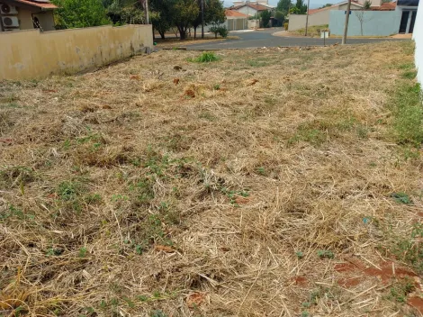 Comprar Terreno / Padrão em Ribeirão Preto R$ 380.000,00 - Foto 9