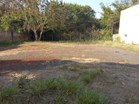 Alugar Terreno / Padrão em Ribeirão Preto R$ 1.900,00 - Foto 3