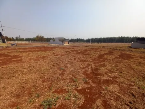 Comprar Terreno / Condomínio em Ribeirão Preto R$ 300.000,00 - Foto 5